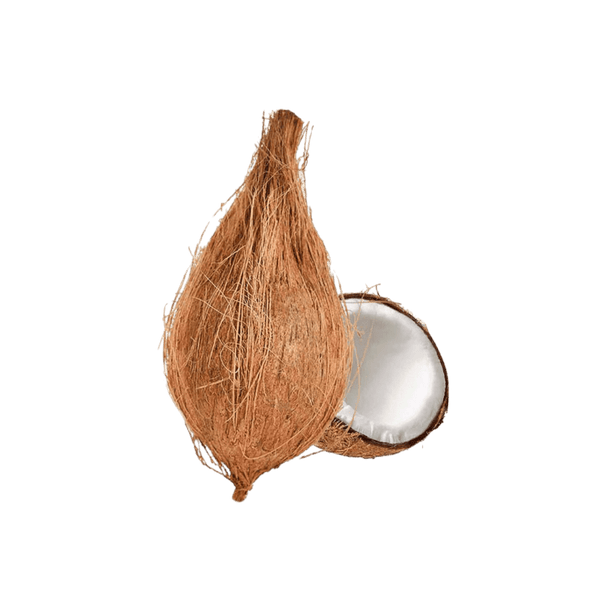 Jamoona Fresh - 1 Piece Fresh Coconut (ca. and 450g) (for Pooja) - 350g