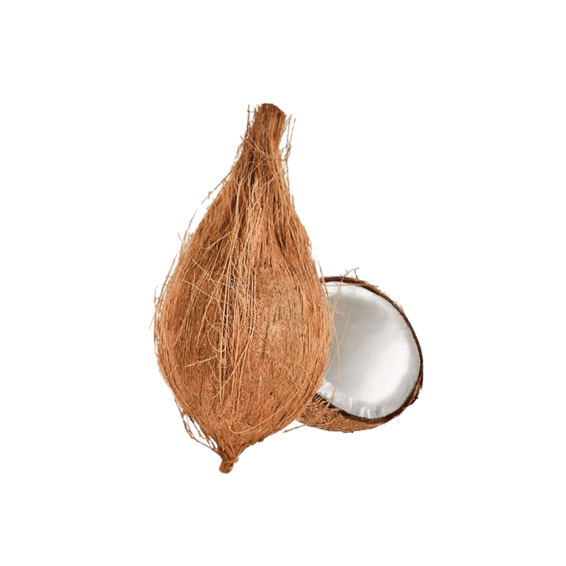 Jamoona Fresh - 1 Piece Fresh Coconut (ca. and 450g) (for Pooja)